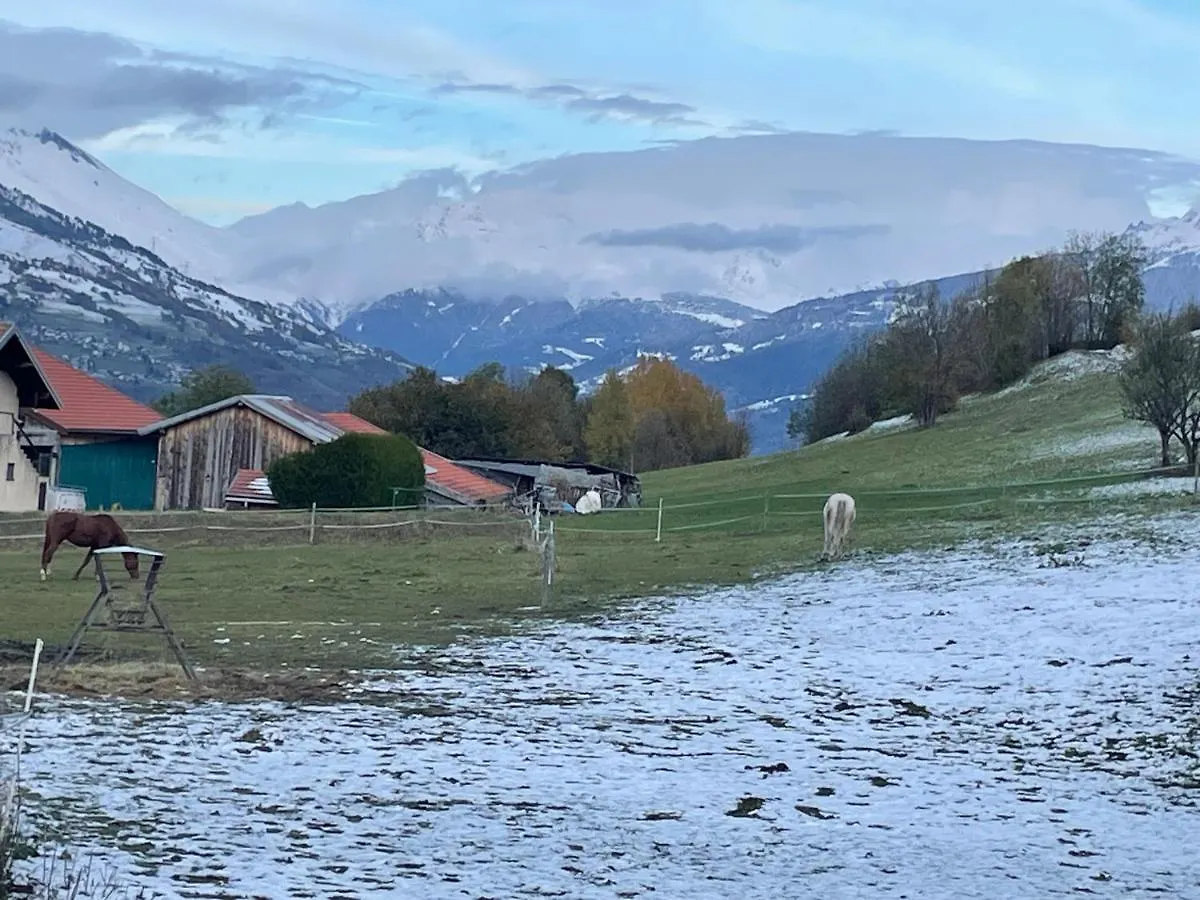Appartement 5 Personnes-1 Chambre- Longefoy-Montalbert - La Plagne